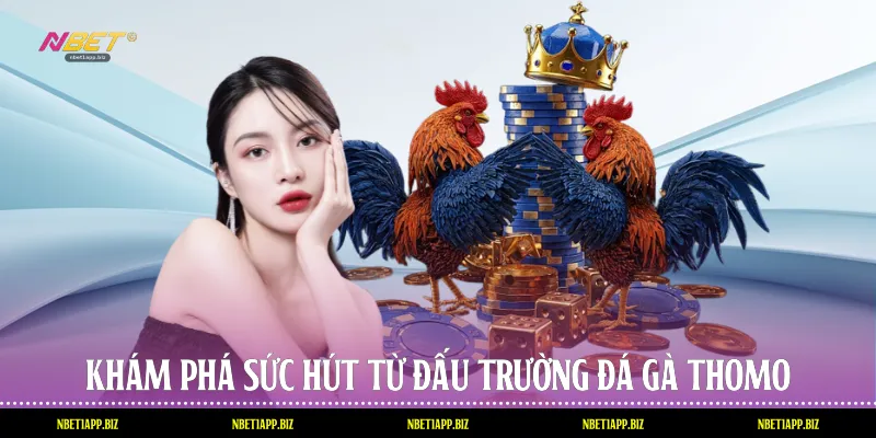 Khám phá sức hút từ đấu trường đá gà Thomo