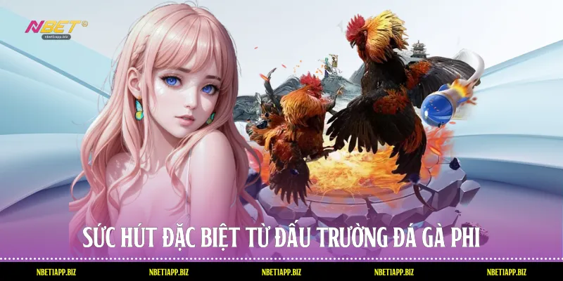 Sức hút đặc biệt từ đấu trường đá gà Phi